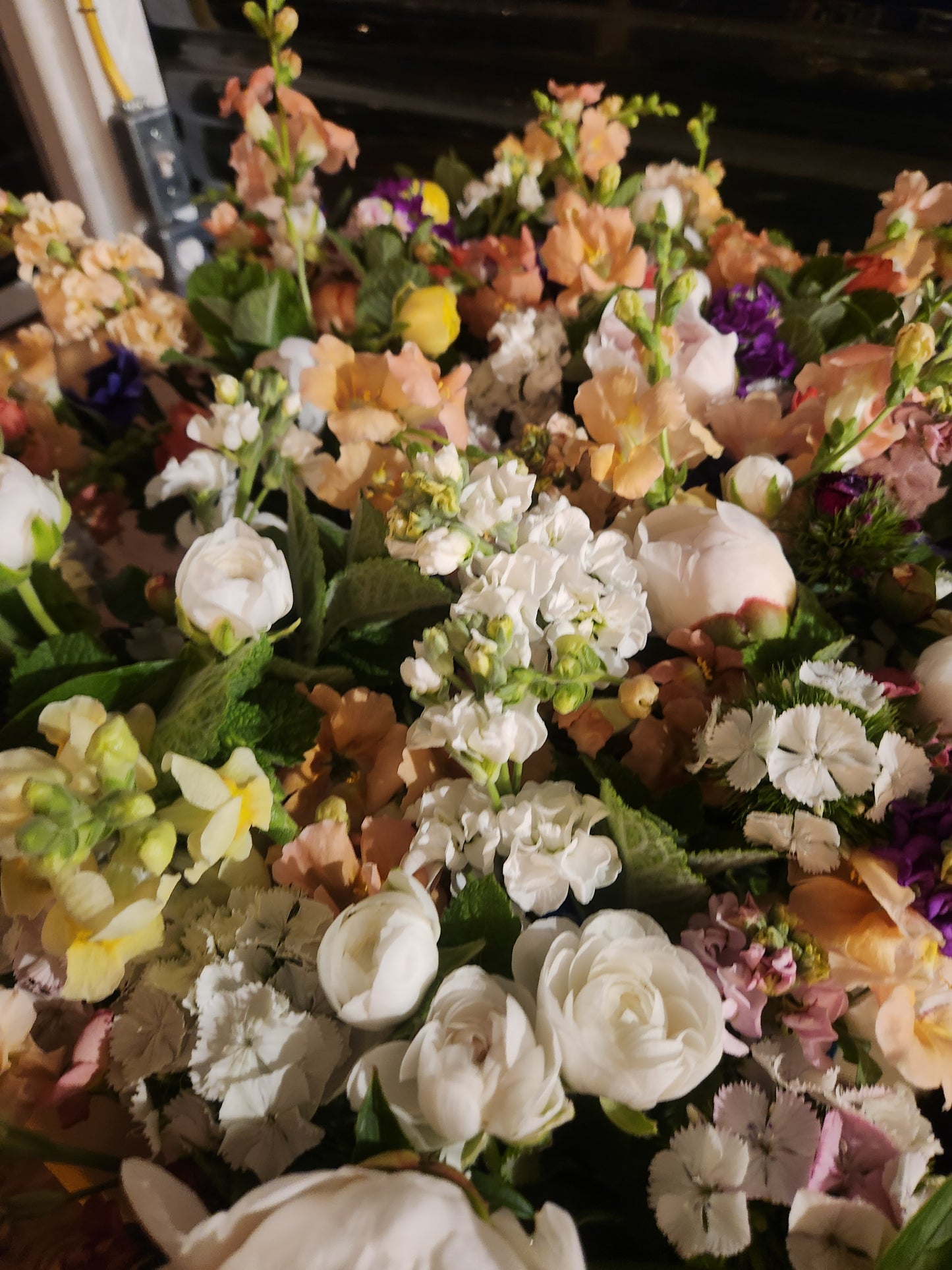 Bouquet Buddies - Early Spring 2026