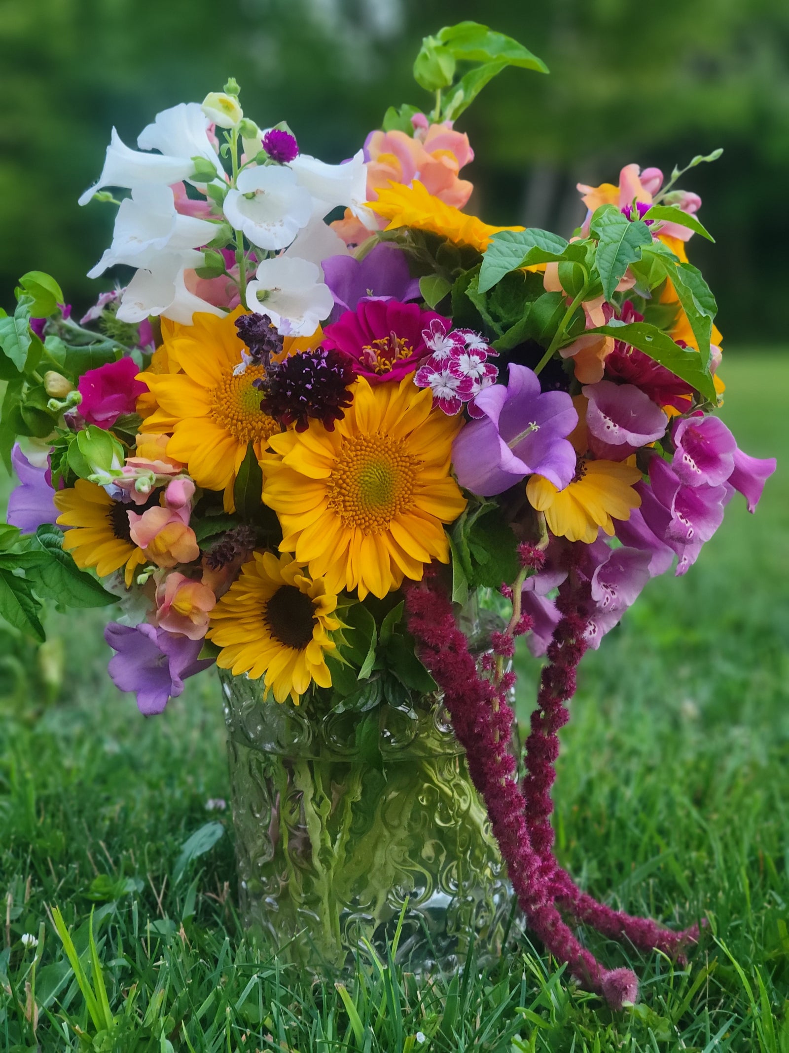 The Bumbling Bee Flower Farm