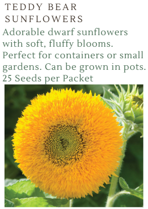 Fundraiser Seeds