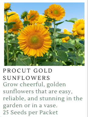 Fundraiser Seeds