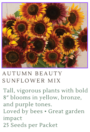 Fundraiser Seeds