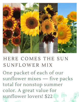 Fundraiser Seeds