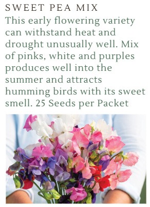 Fundraiser Seeds