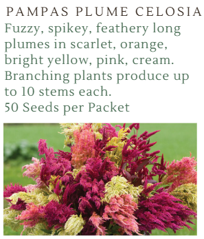 Fundraiser Seeds