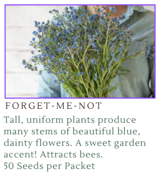 Fundraiser Seeds