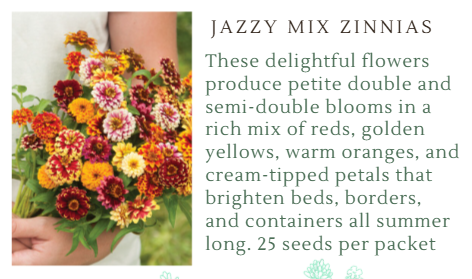 Fundraiser Seeds