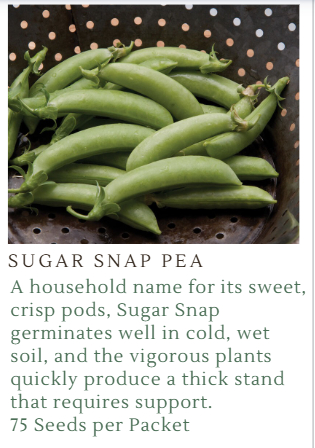 Fundraiser Seeds