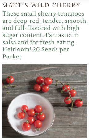 Fundraiser Seeds
