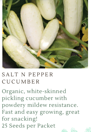 Fundraiser Seeds