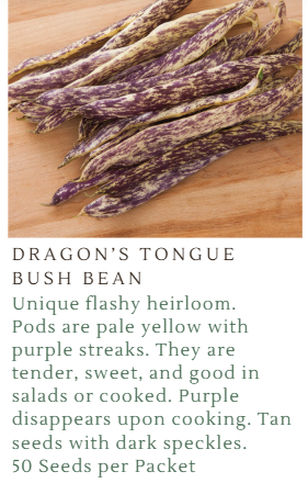 Fundraiser Seeds