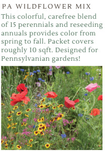 Fundraiser Seeds