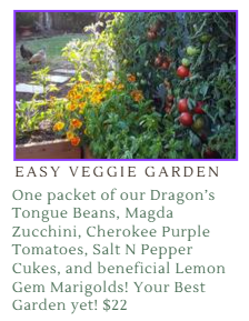 Fundraiser Seeds