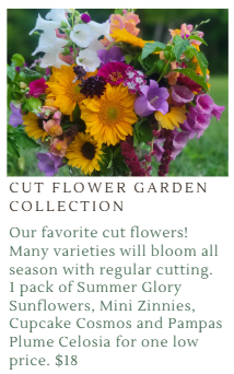 Fundraiser Seeds