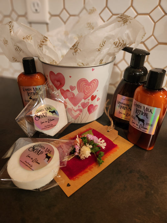 Valentine's Day Sweetheart Collection Bulk Bucket